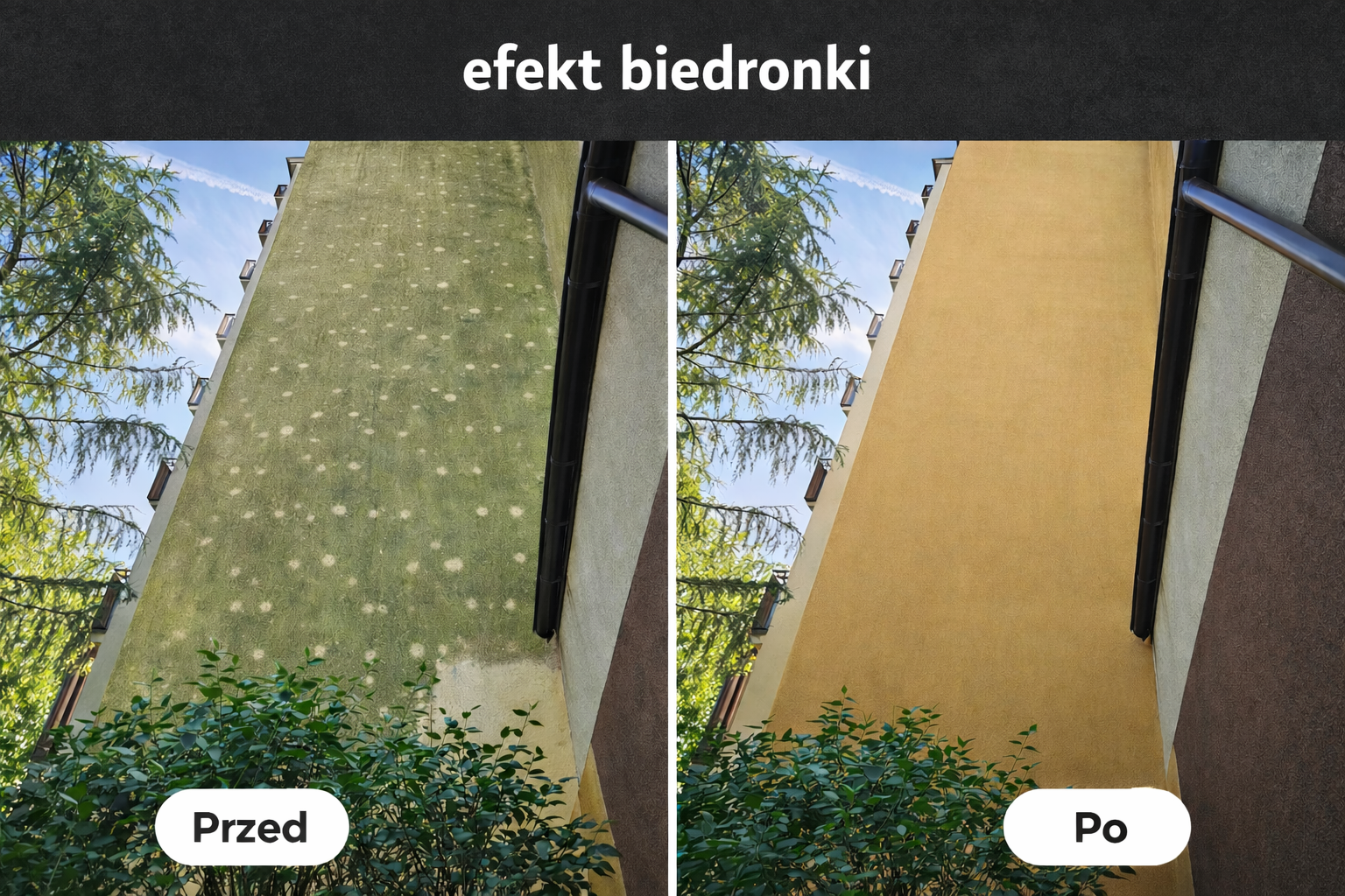 Zjawisko biedronki na tynku w Pruszkowie – czyszczenie jasnych plam na elewacji